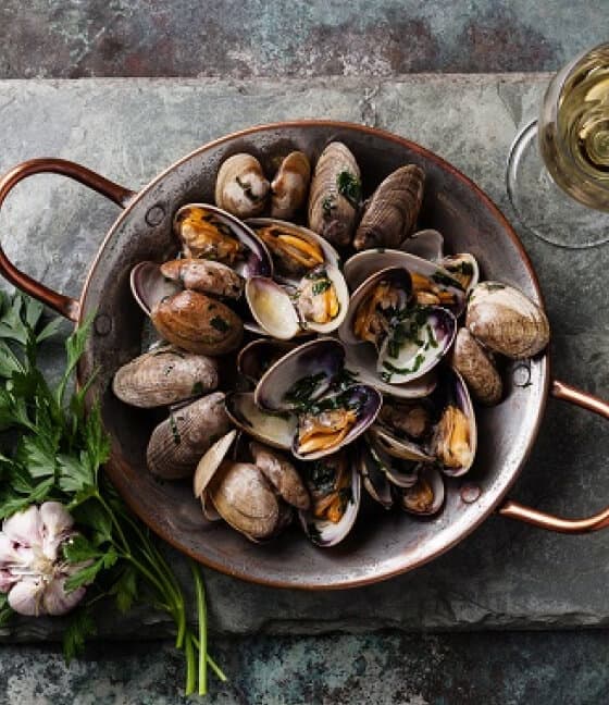 Green profile main courses