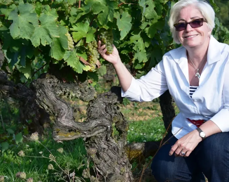 Kathleen visiting century-old Chenin Blanc vines