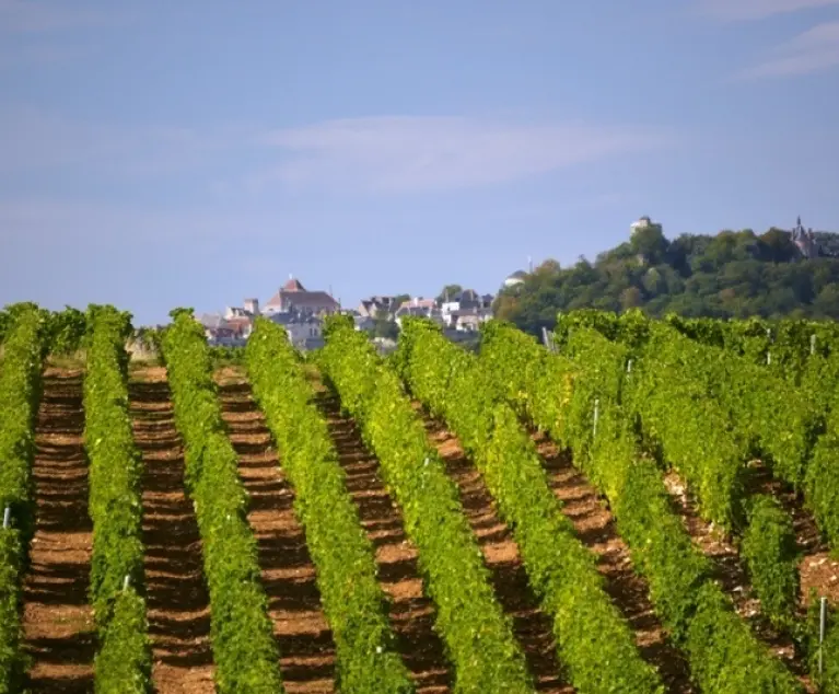 Château Yvonne in the Loire Valley